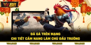 Đá Gà Trên Mạng - Chi Tiết Cẩm Nang Làm Chủ Đấu Trường