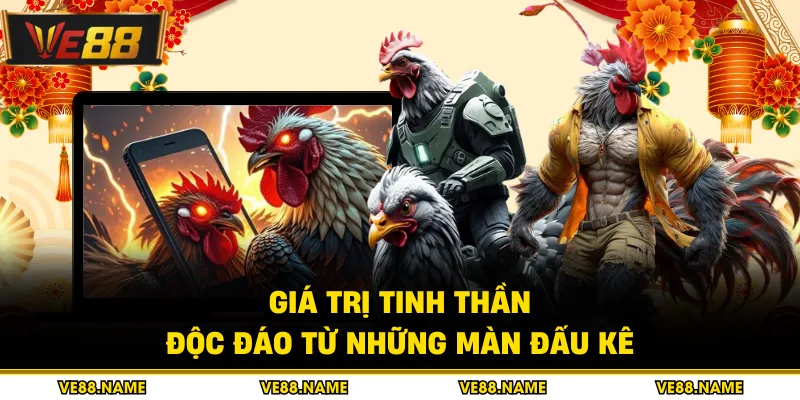 Giá trị tinh thần độc đáo từ những màn đấu kê