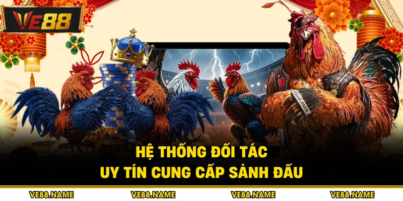 Hệ thống đối tác uy tín cung cấp sảnh đấu