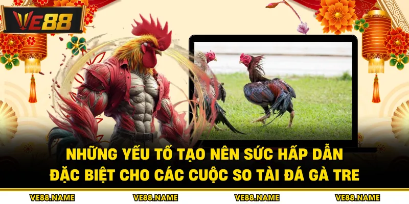 Những yếu tố tạo nên sức hấp dẫn đặc biệt cho các cuộc so tài đá gà tre